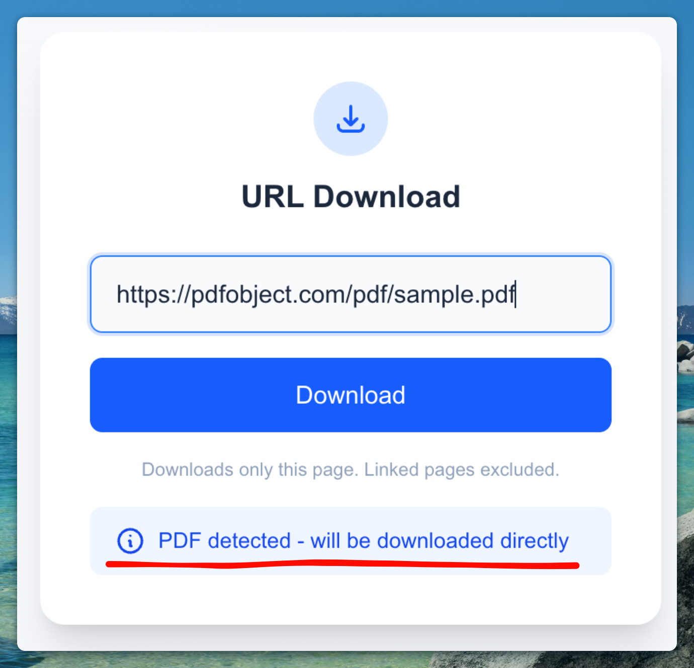 Detection of the PDF file