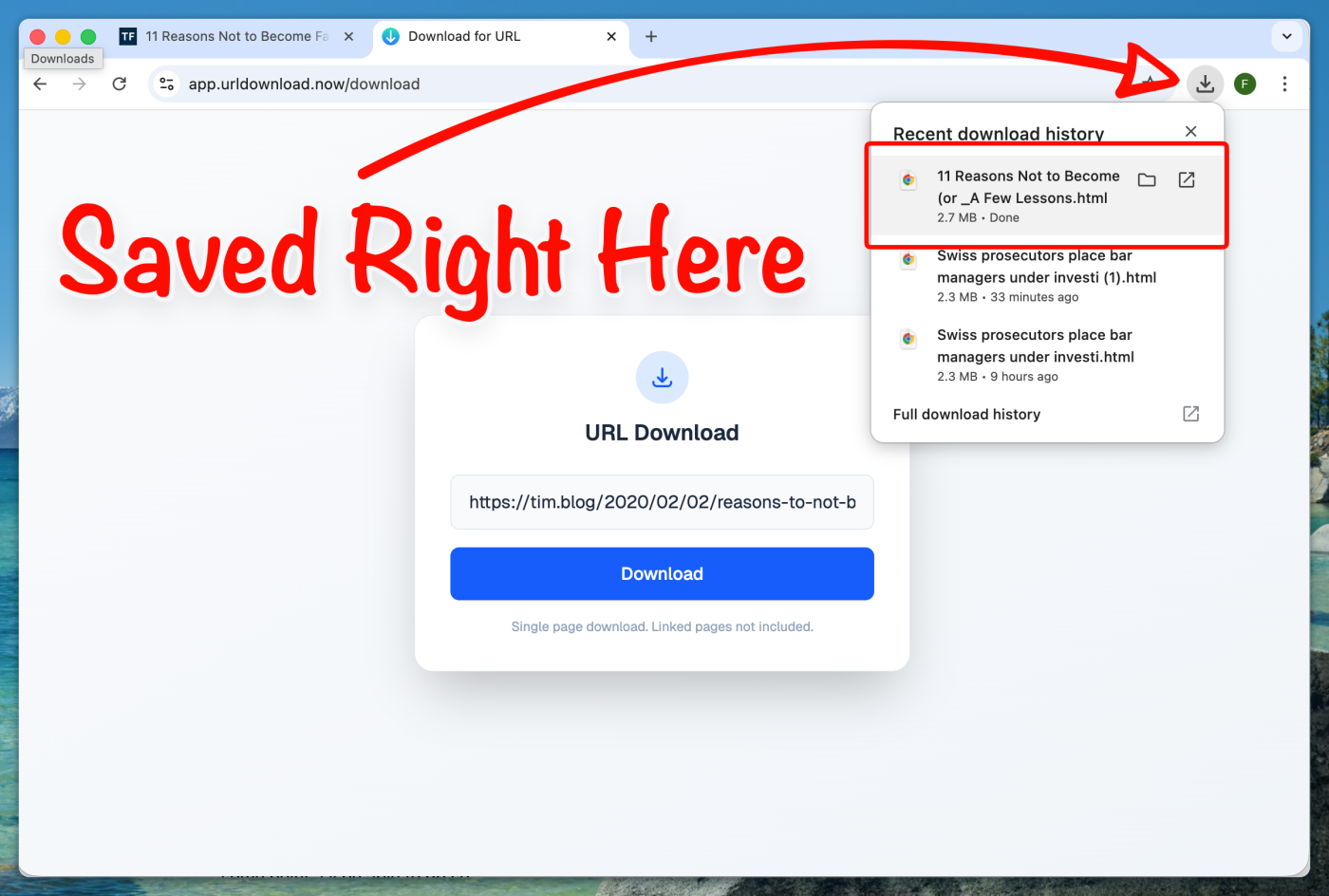 Saved right to the downloads folder