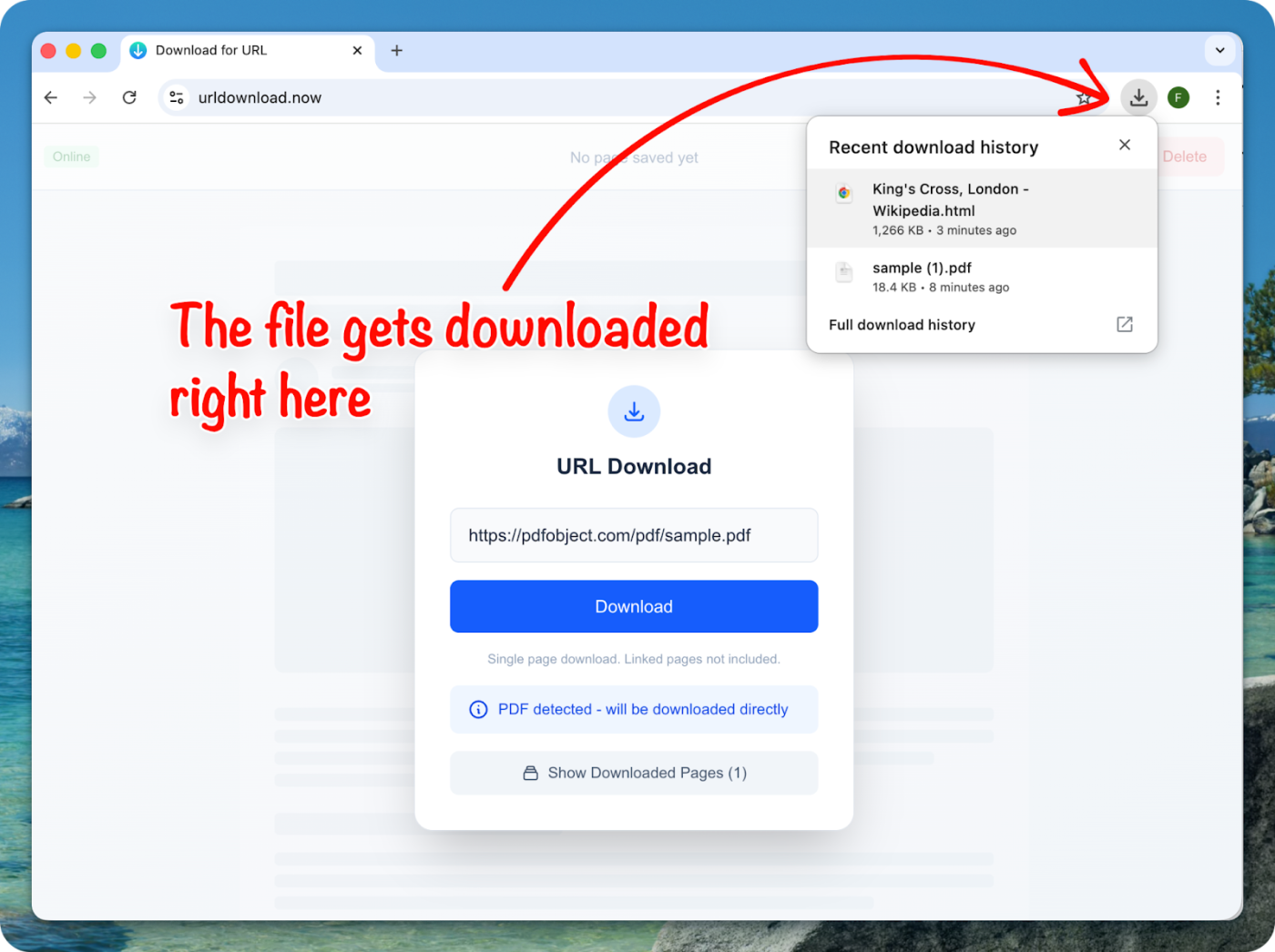 Saved to the downloads folder