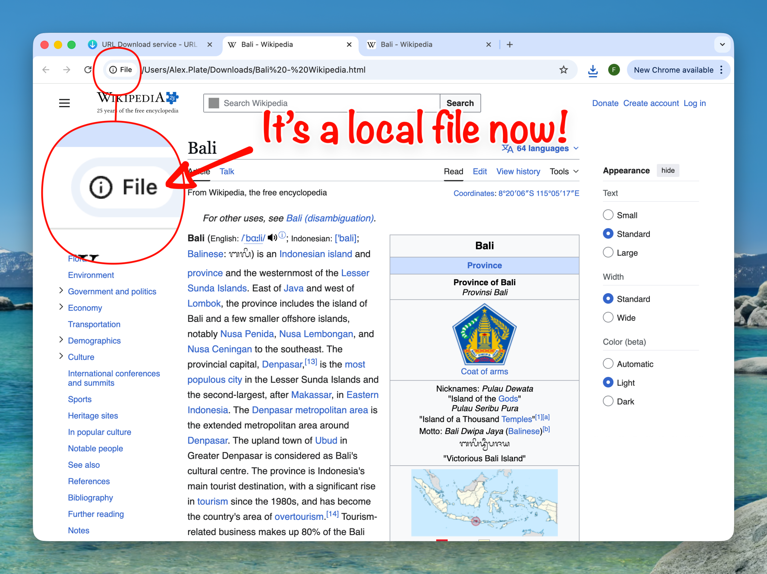 Сохраните веб-страницу, чтобы прочитать её позже, с помощью URL Download.